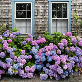 💥Flores de hortênsia artificiais para exteriores💐