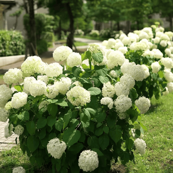 💥Flores de hortênsia artificiais para exteriores💐